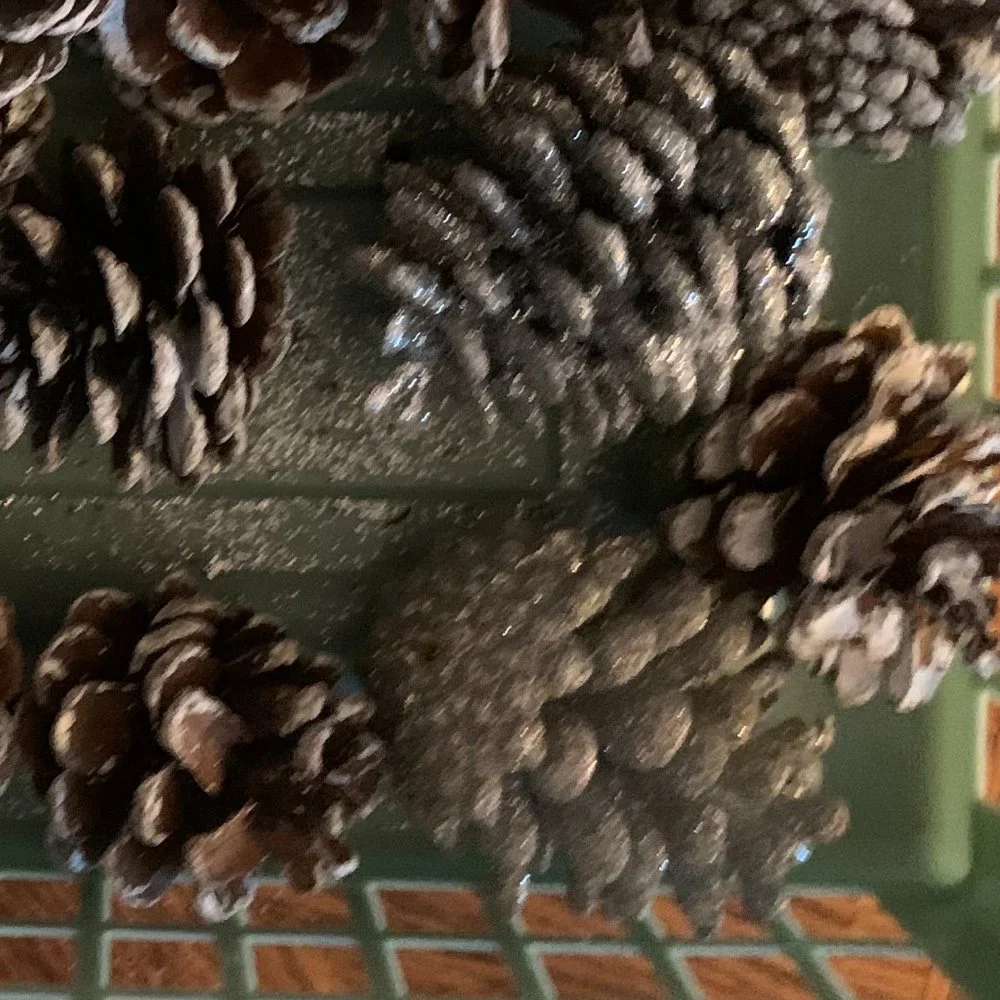 18 Small pinecones